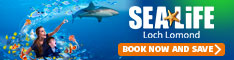 Sea Life - Loch Lomond