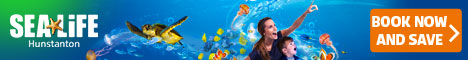 Sea Life - Hunstanton