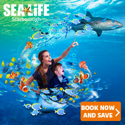 sea life promo 